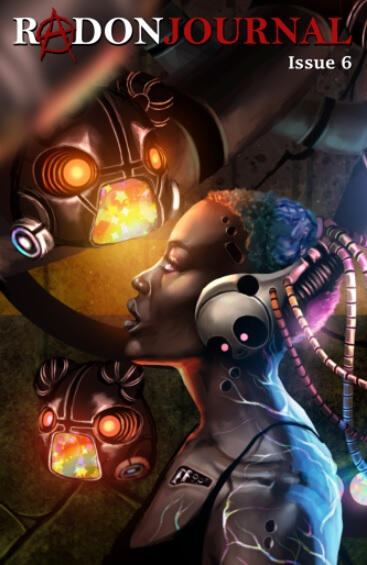 Cover for Radon Journal, Issue 6